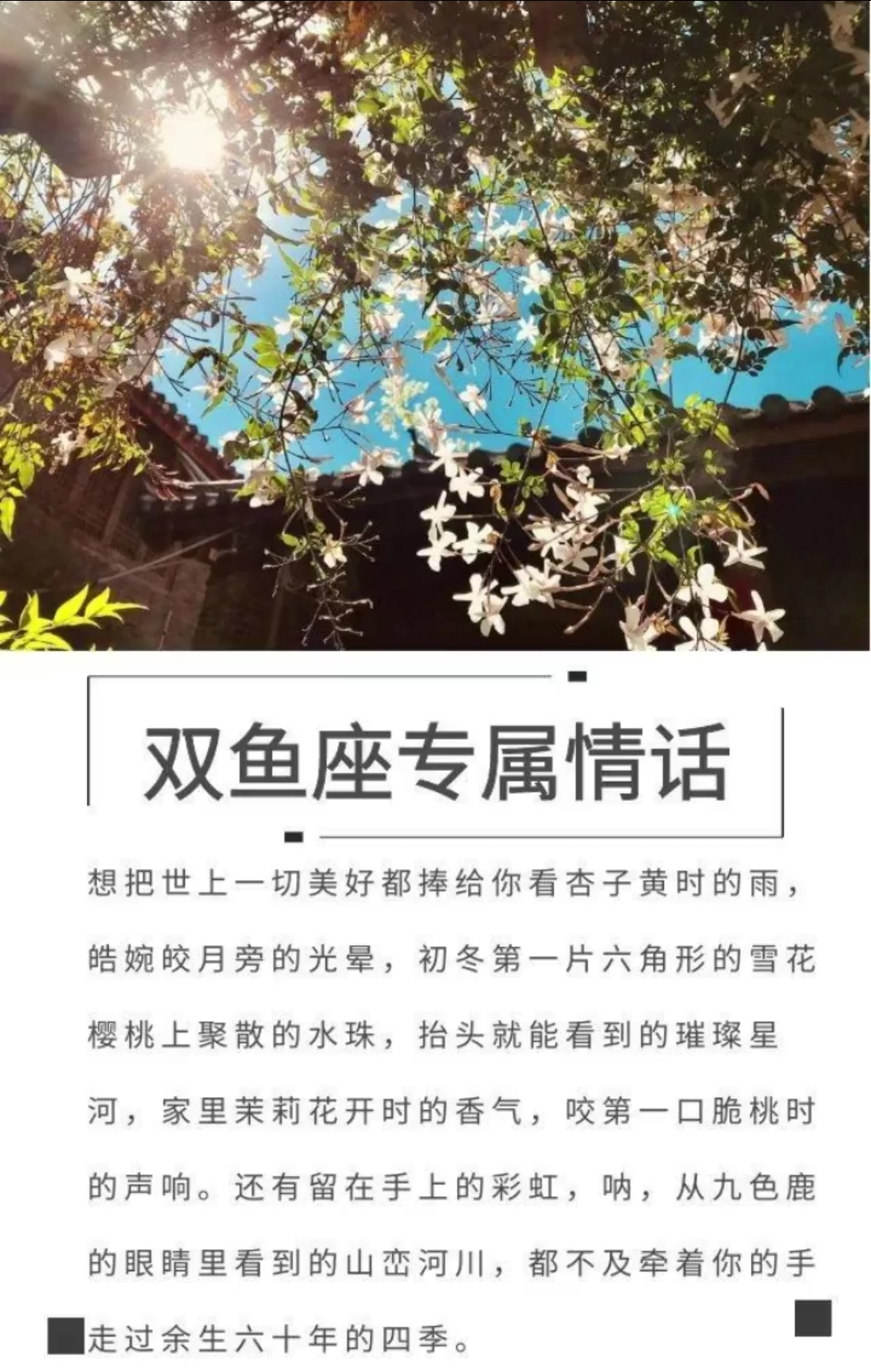 #你喜欢的样子我都有#十二星座专属情话,太美了!