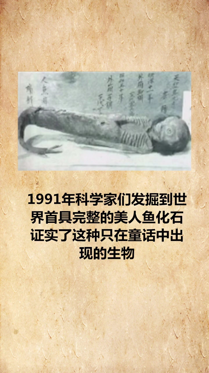 #熊孩子的日常#