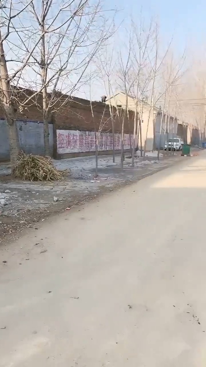 童年的回忆,斗鸡小游戏.
