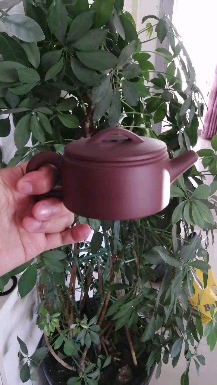 汉瓦～紫砂壶