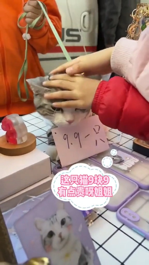带少少去泡芙的小卖铺营业咯王泡芙