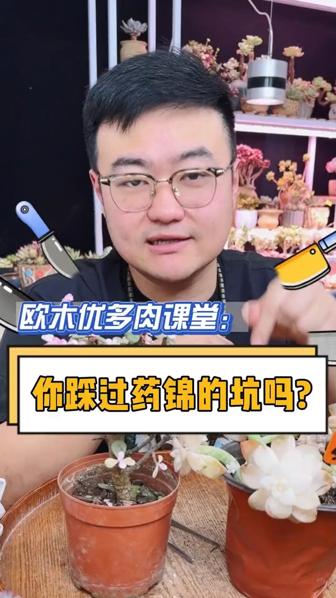 新手肉友看过来,你有踩过药锦的坑吗#多肉#多肉植物#