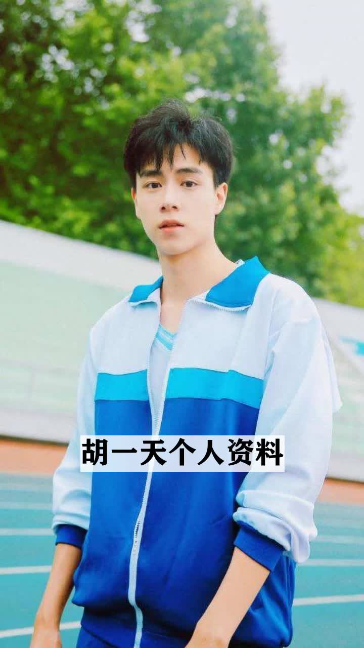 胡一天个人简介