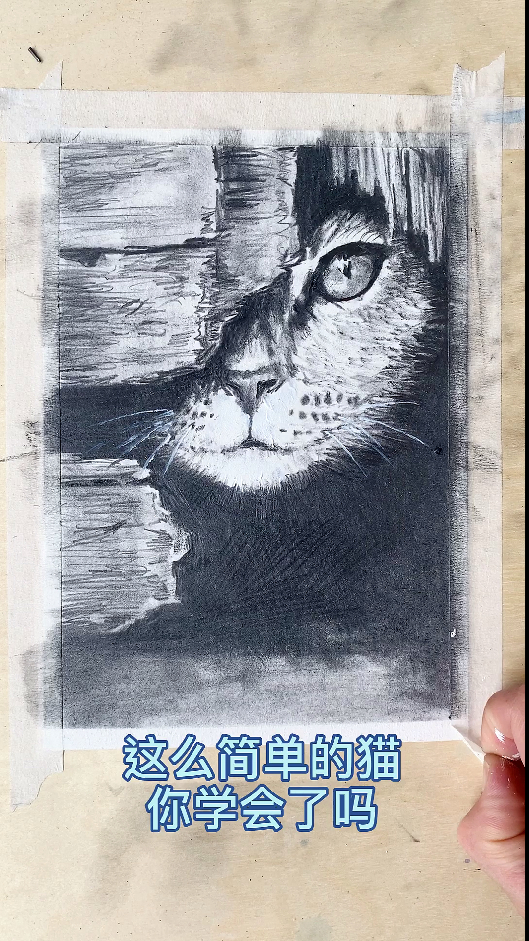 #画画原来如此简单#最简单的方法用铅笔画一只猫,这是一只流浪猫哦,可以不爱,请别伤害!
