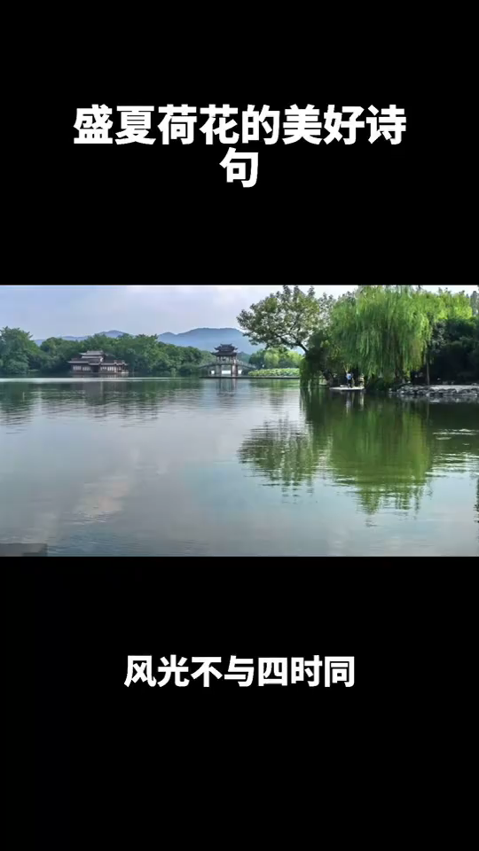 盛夏荷花的美好诗句