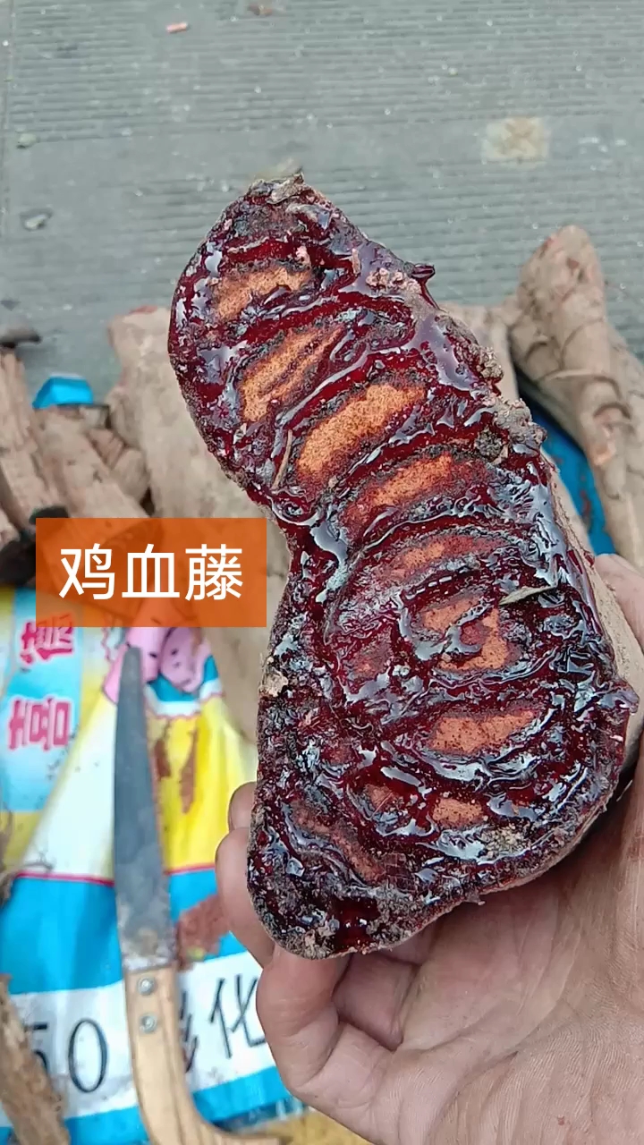 #抓住夏天#超大的鸡血藤！