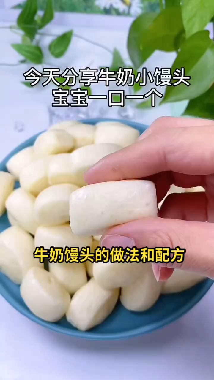 牛奶馒头的做法和配方