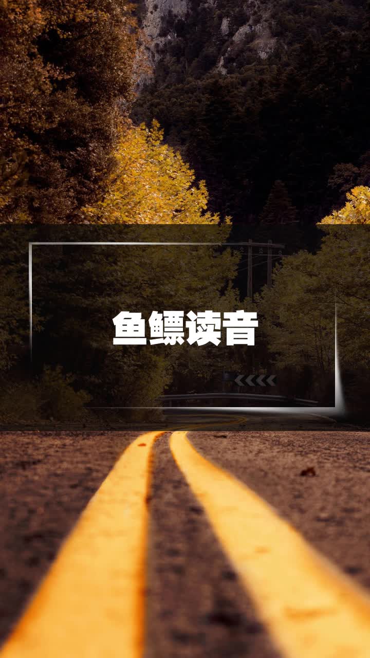 鱼鳔读音