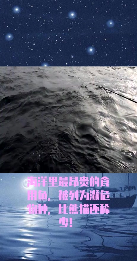 #社会奇闻#海洋里最昂贵的食用鱼,被列为濒危物种,比熊猫还稀少!