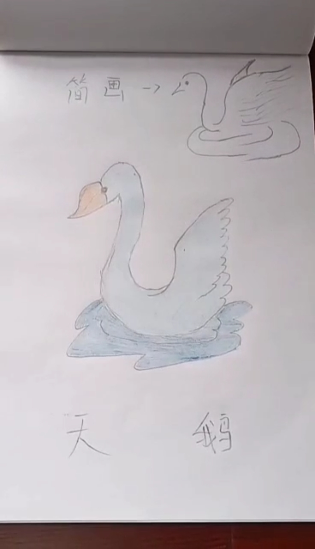 #简笔画#天鹅湖简笔画喜欢吗