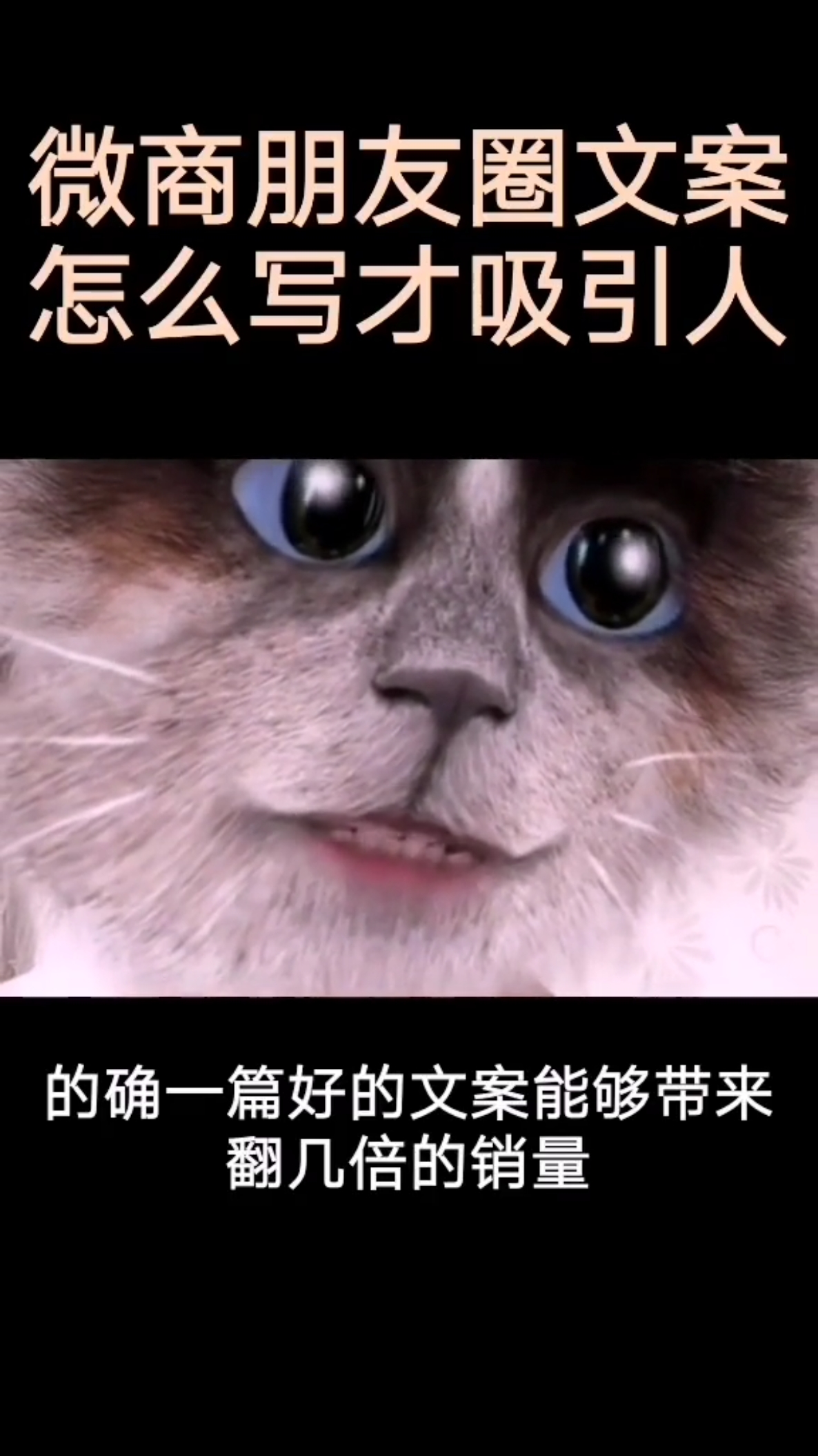 #创业#微商朋友圈文案怎么写才能卖货,吸引人购买?