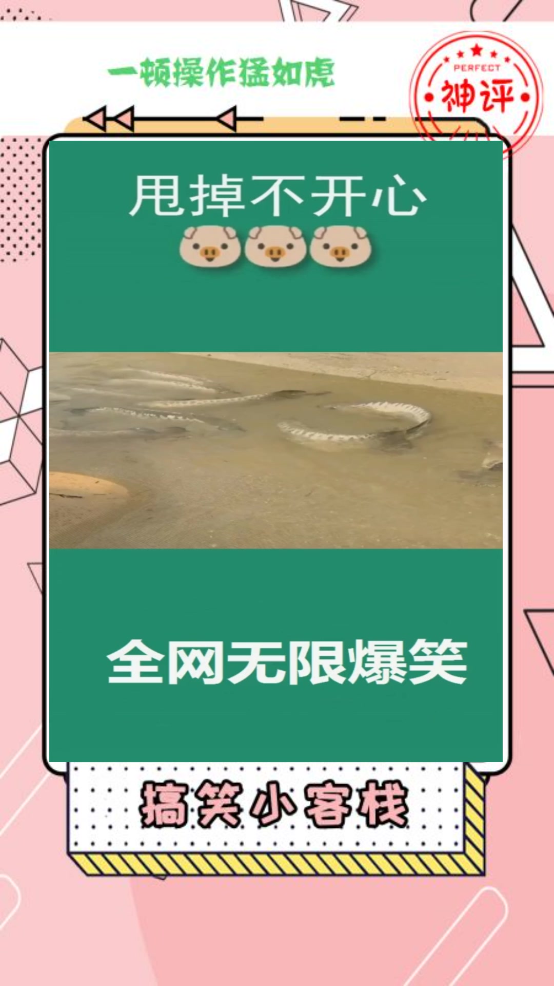 #搞笑#村长家的鱼塘清鱼了没想到去年冬天放的鱼苗今年就长这么大辛苦没白费