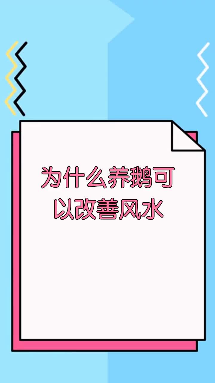 为什么养鹅可以改善风水