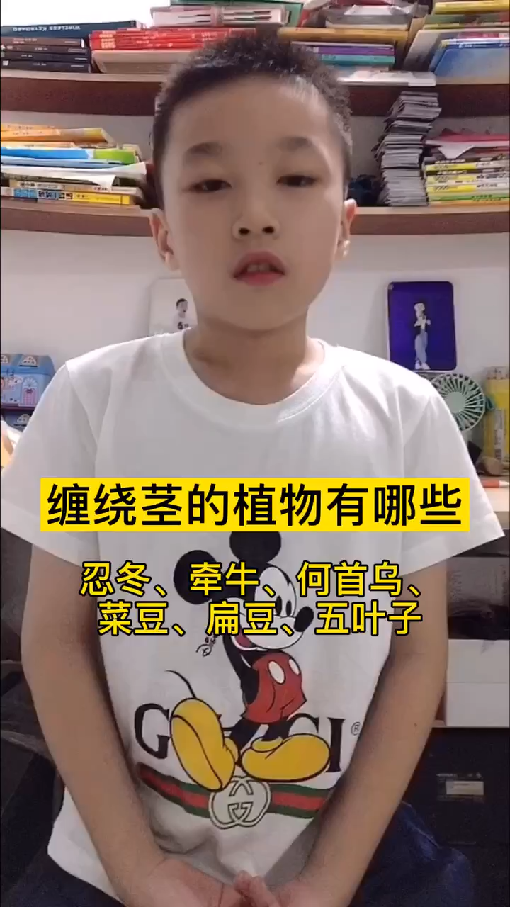 缠绕茎的植物有哪些