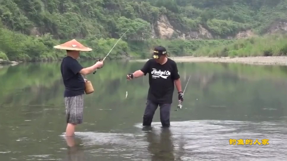 刷滩钓法,溪流探钓野生马口鱼,30公分浅水溪流里疯狂连竿上鱼
