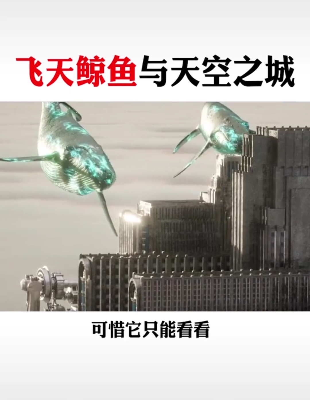 #天秀不如你秀#鲸鱼要是能上天