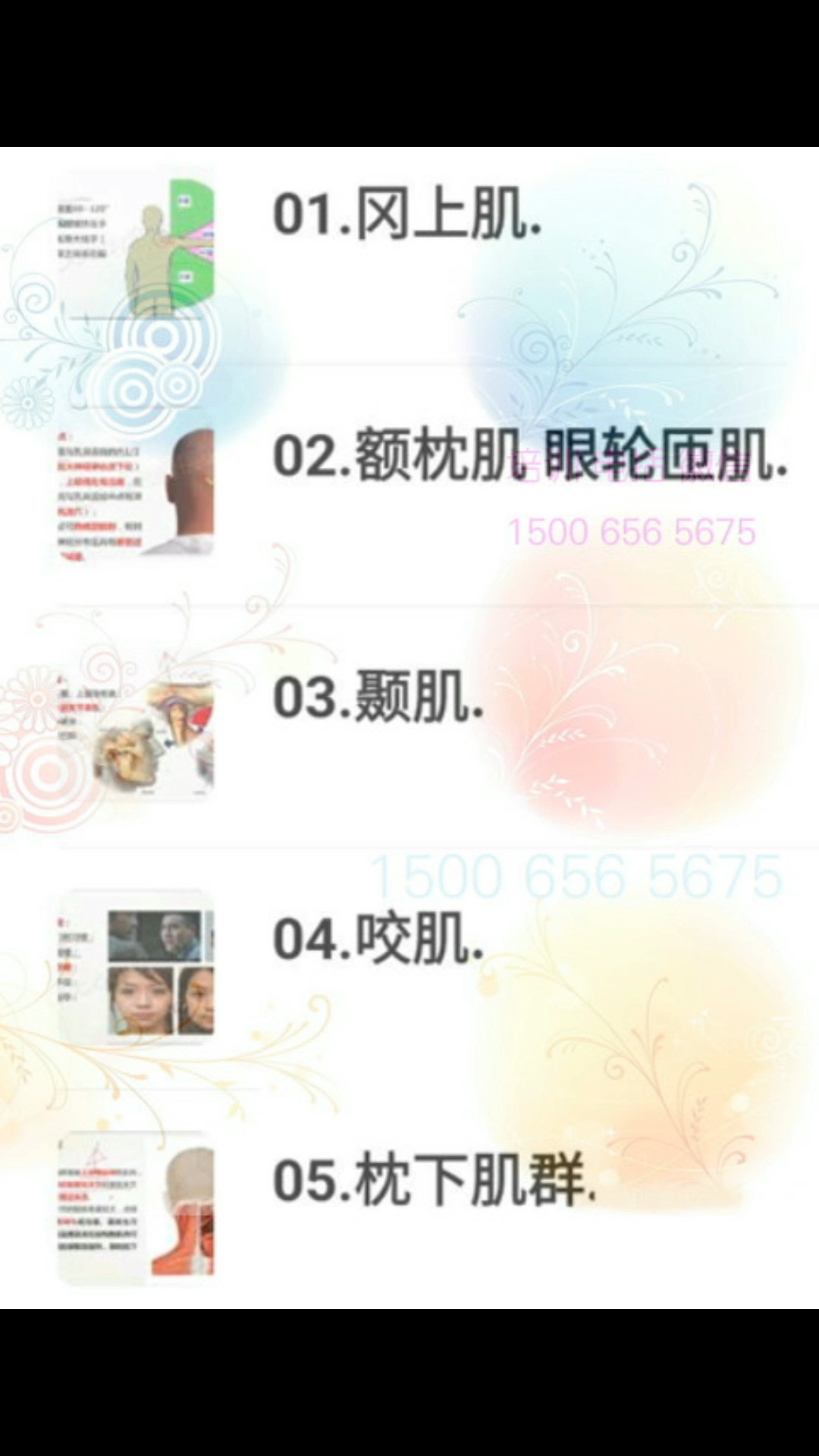 中医推拿理疗 人体全身 肌肉解剖学 腹肌康复 训练手法技术 基础理论 培训视频