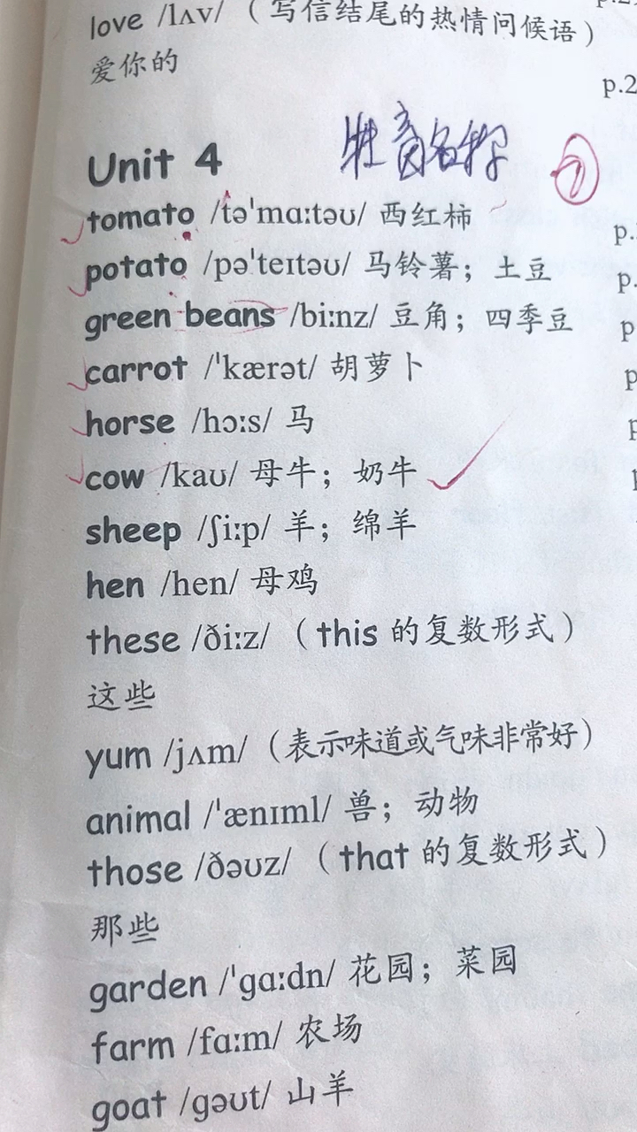 四年级英语下册第四单元单词
