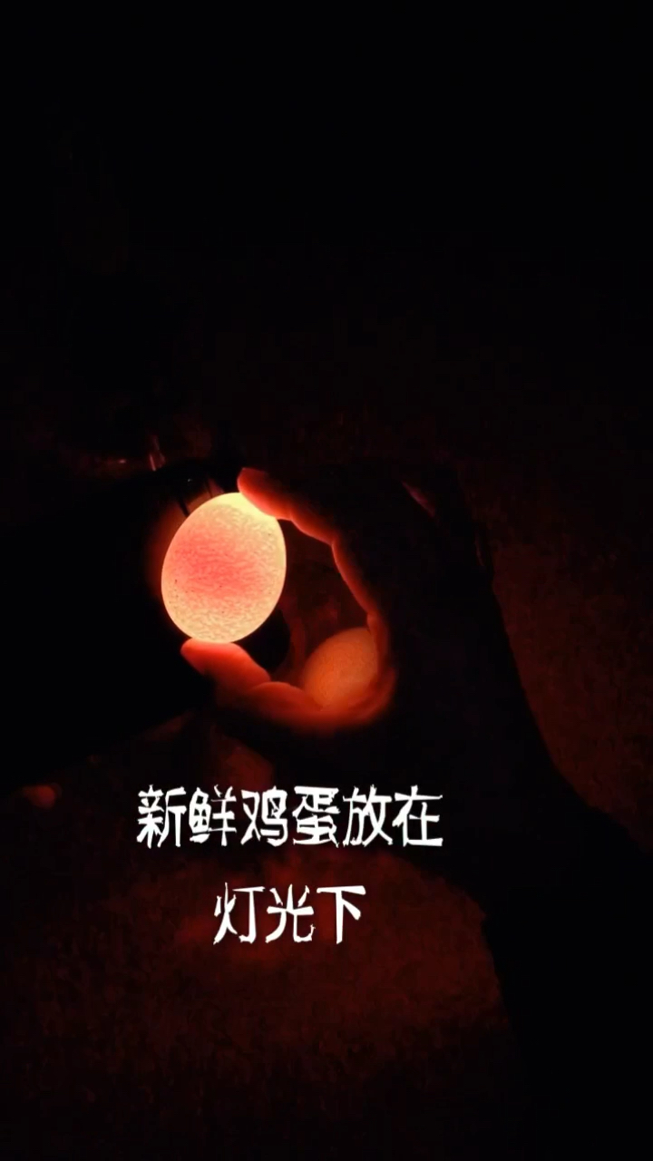 #生活小妙招#教你2招辨别鸡蛋是否新鲜