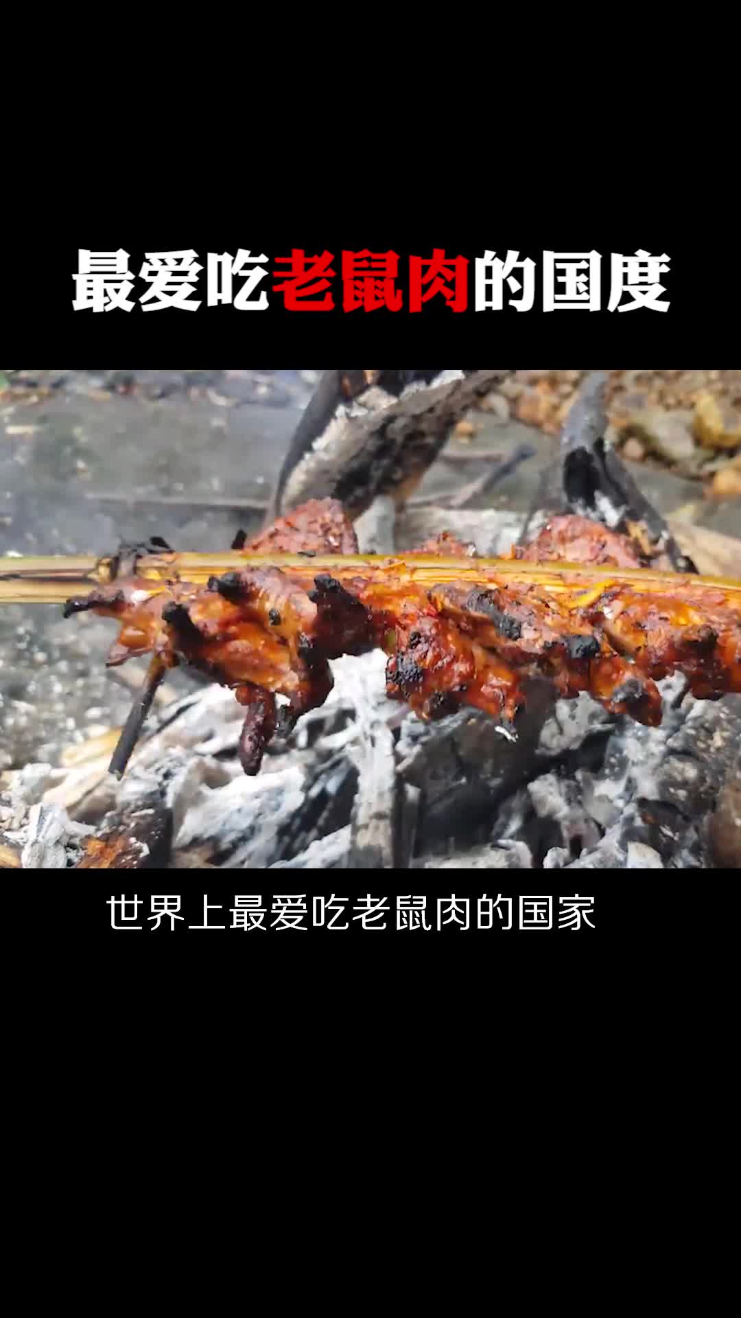 #每天一点冷知识#最爱吃老鼠的国家