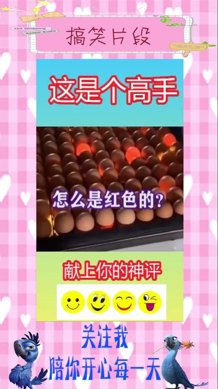 笑死人不偿命:为什么有的鸡蛋是红色的,搞笑视频