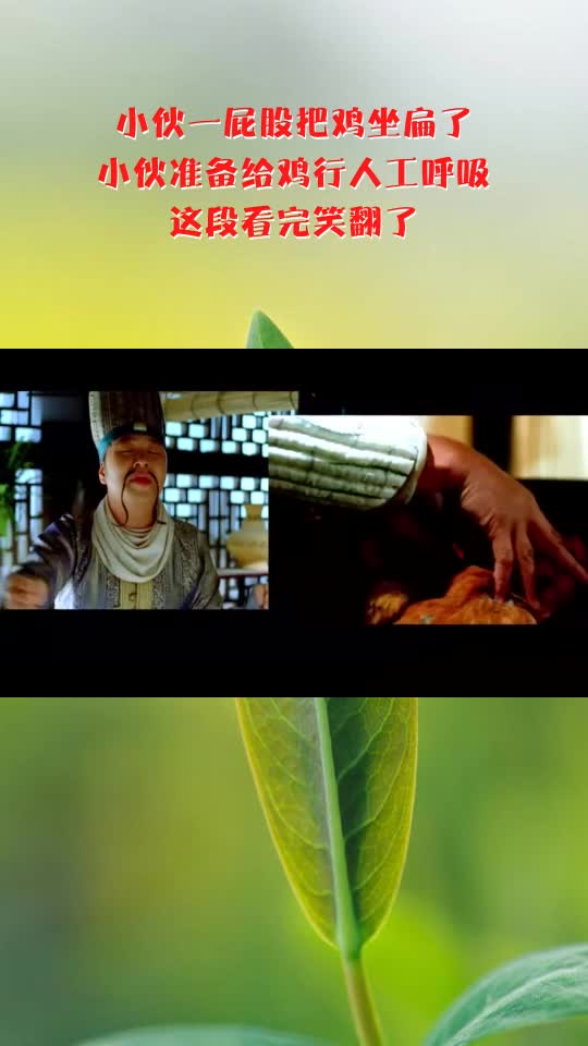 小伙一屁股把鸡坐扁了,小伙准备给鸡行人工呼吸,这段看完笑翻了