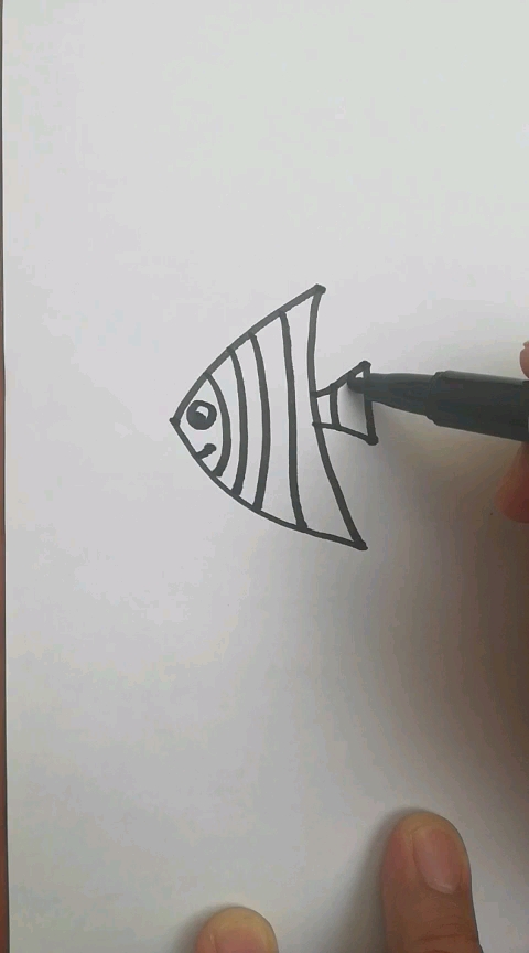 三角形的小海鱼～