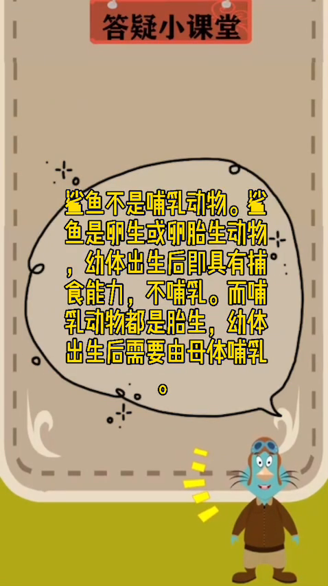 鲨鱼是哺乳动物吗?