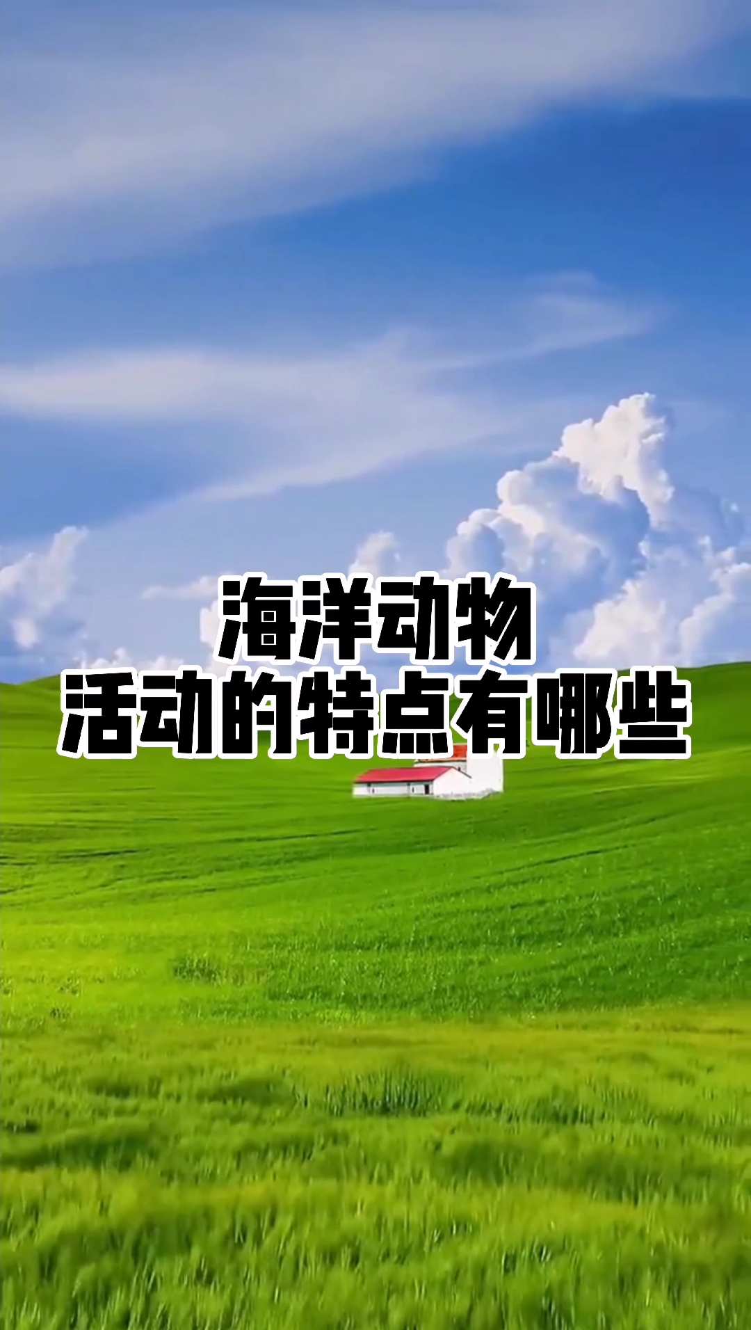 海洋动物活动的特点有哪些?