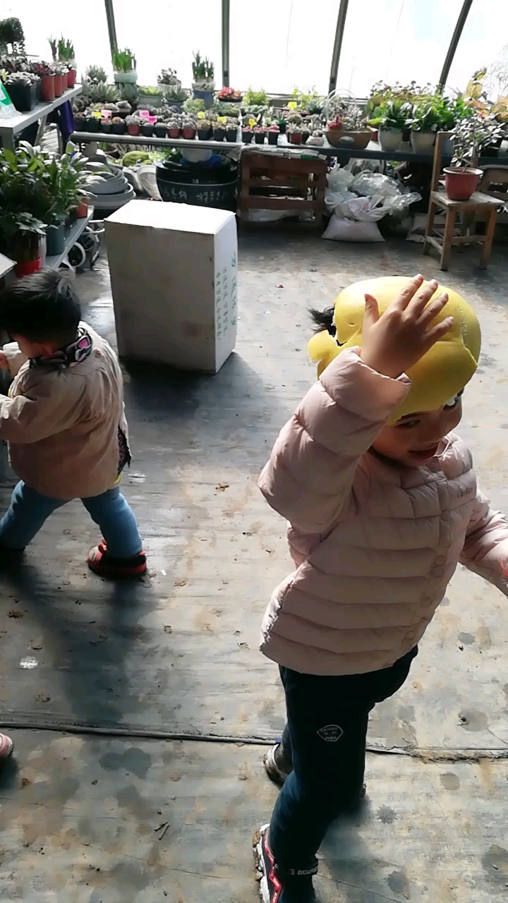 柚子皮当帽子