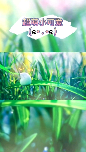 #最浪漫的事#我能想到最浪漫的事就是喂你吃屎