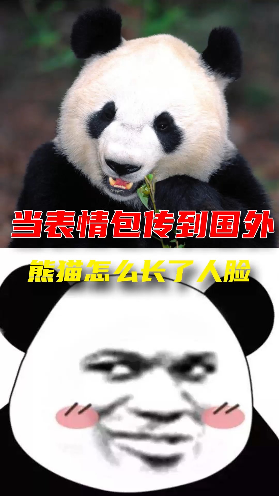 #熊猫头#发出你手机里的熊猫表情包!!!