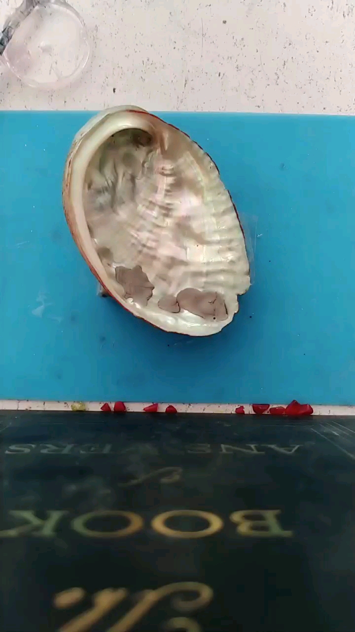 一个鲍鱼壳,打造属于你的一片星空。[滴胶教程]