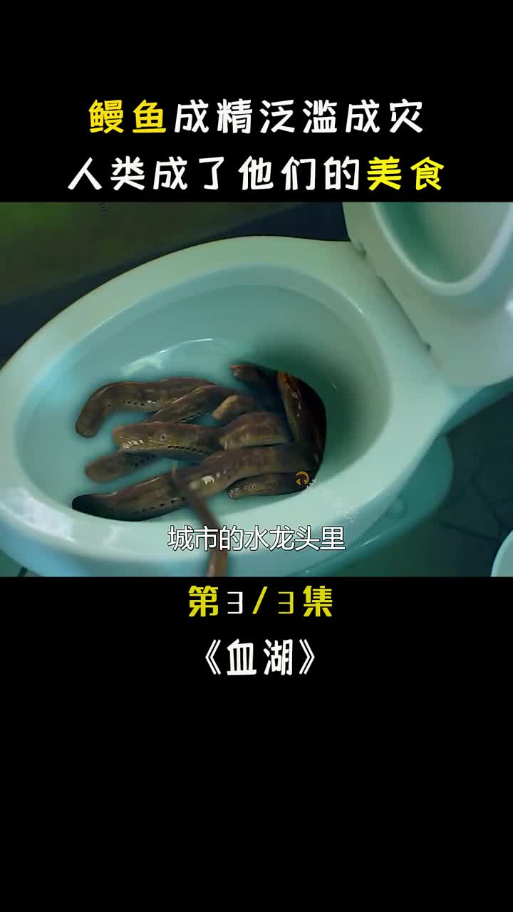 电影星熠计划高燃好片季烤鳗鱼味道不错,再来点孜然