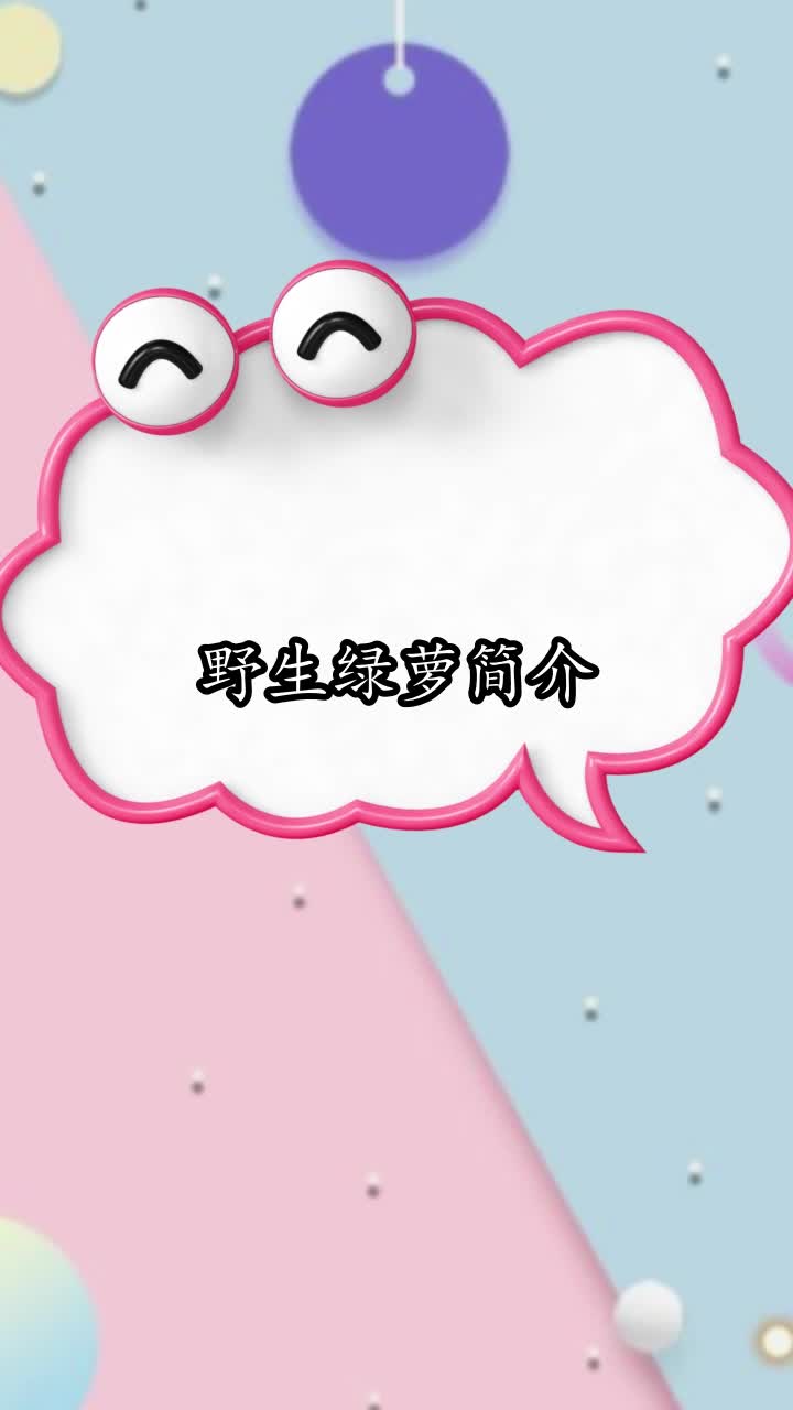 野生绿萝简介,你清楚了吗