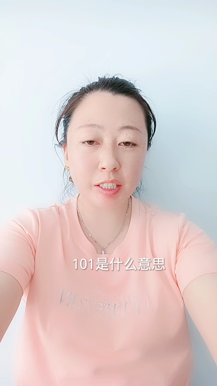 101是什么意思网络语言?
