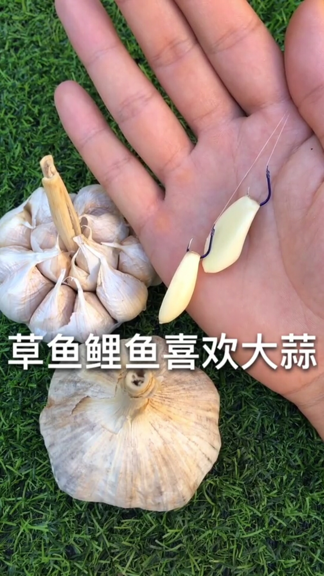 #钓鱼秘籍#掌握饵料的味型,钓鱼不在难