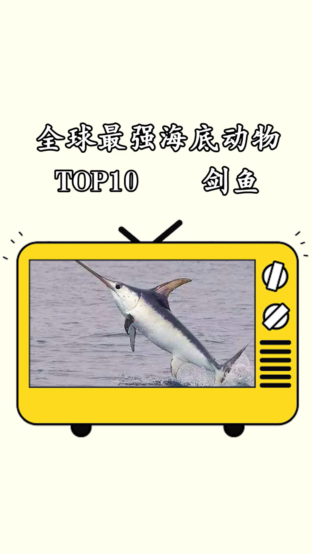 #神奇动物在这里#十大最强海底生物排行榜TOP10剑鱼