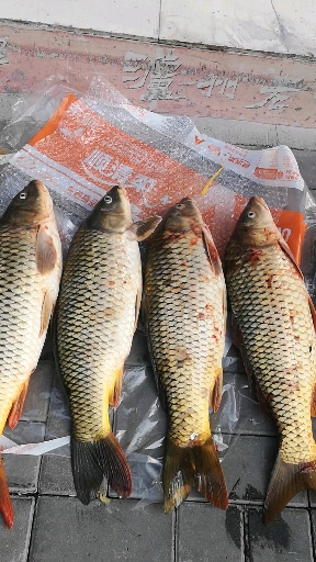 微山湖野生鱼尤其是四孔鲤鱼。鲤鱼在湖里生存,繁殖快,种类多,美味,营养价值高