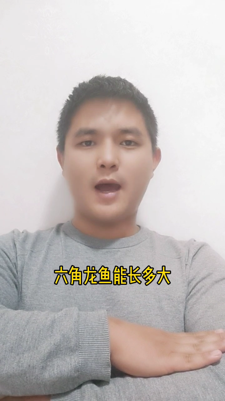六角龙鱼能长多大  