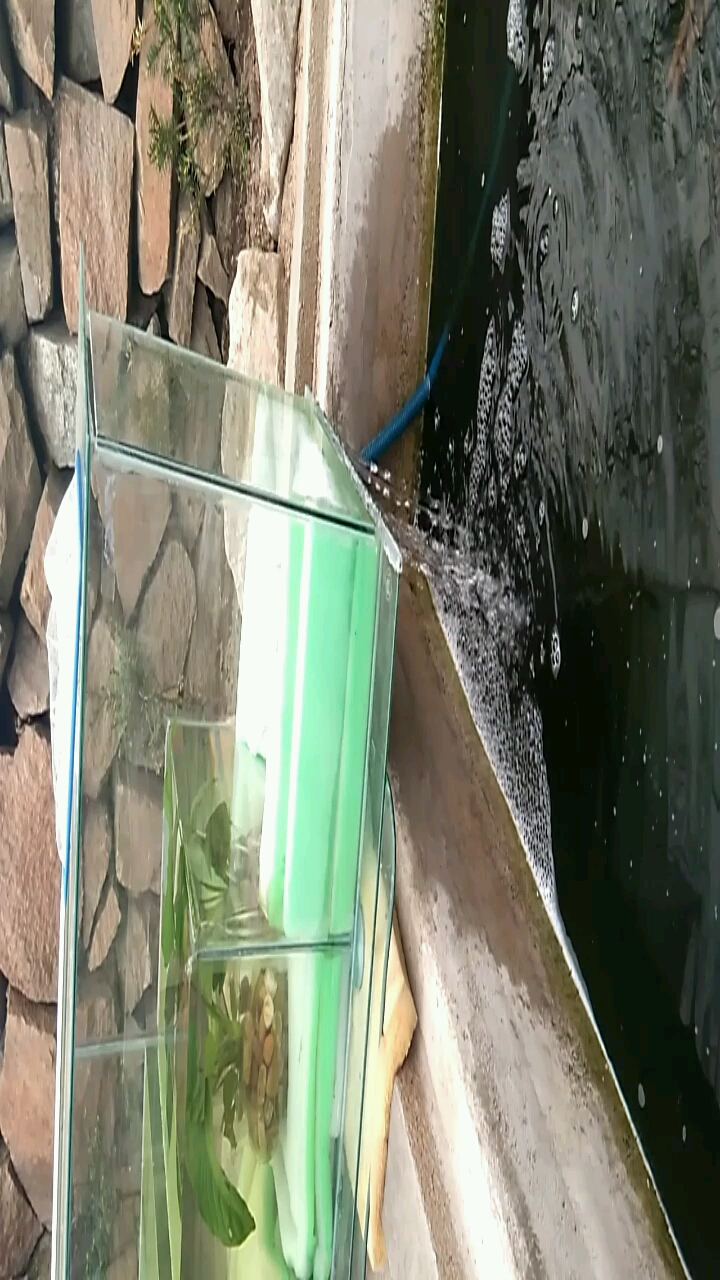 自制小鱼池水过滤系统