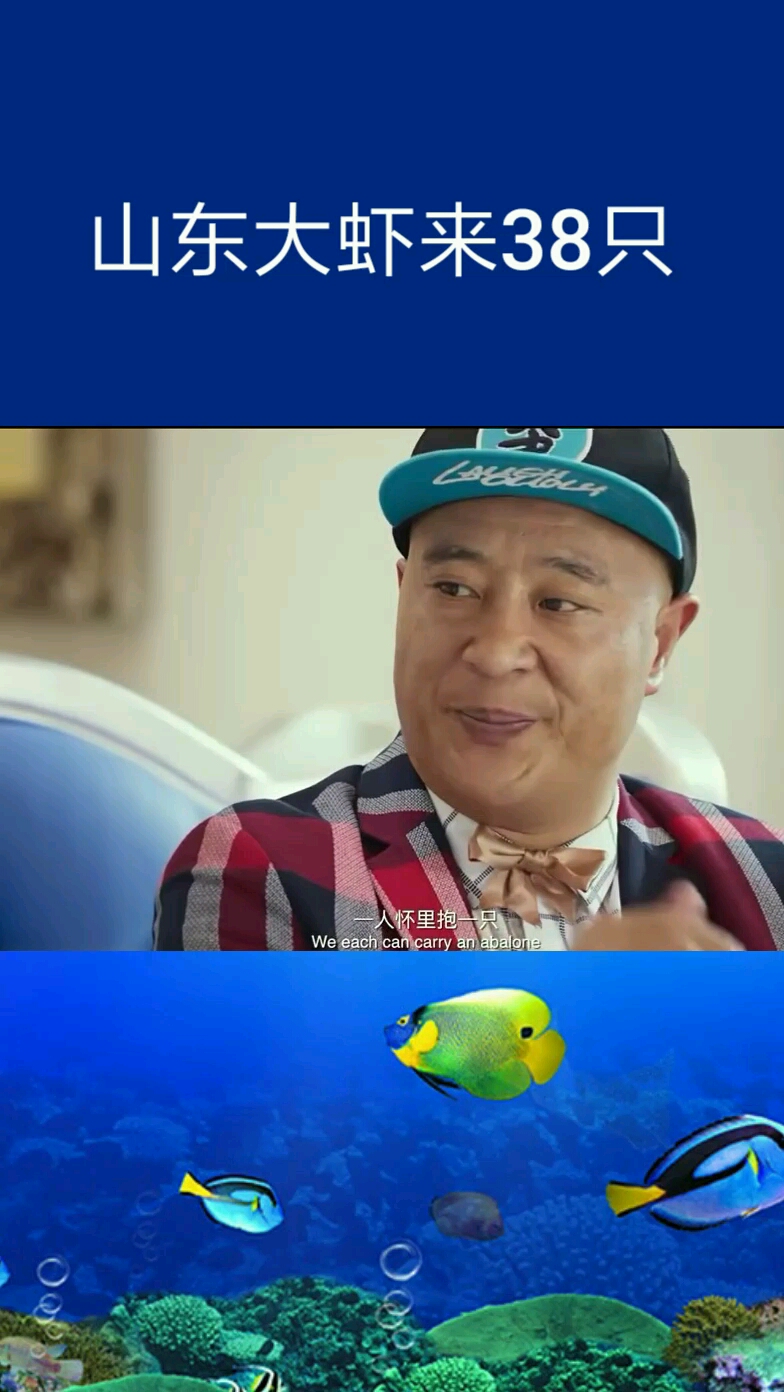 山东大虾来38只!青岛也归山东管!没毛病四哥太逗了