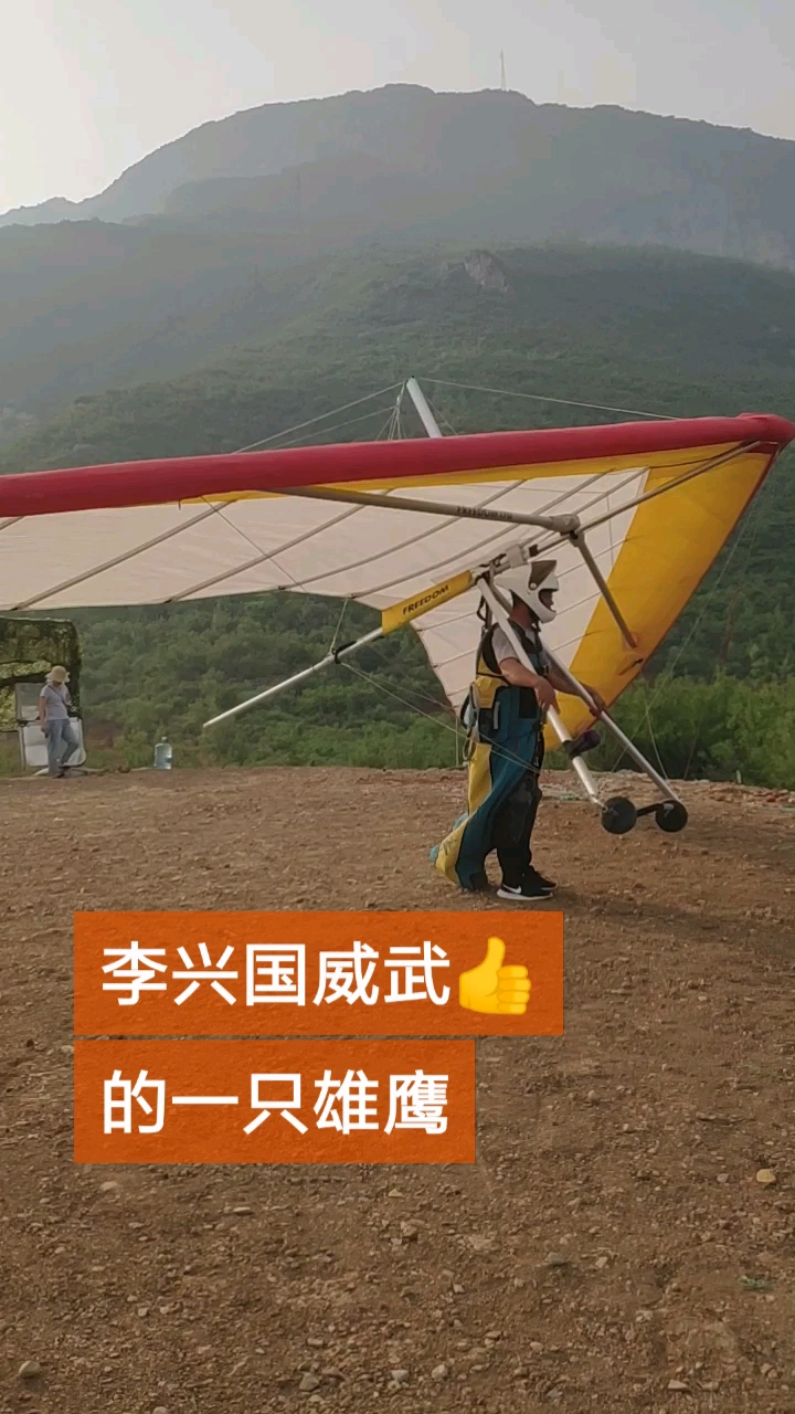 李兴国威武。的一只雄鹰