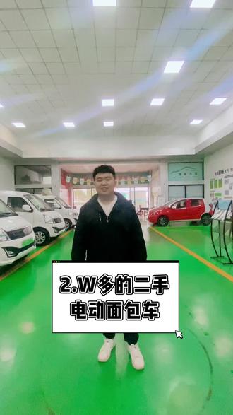 新能源面包车货运版的价格