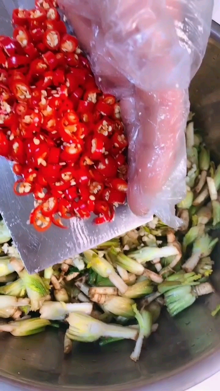 接上一视频,超级下饭小咸菜,拌香菜根