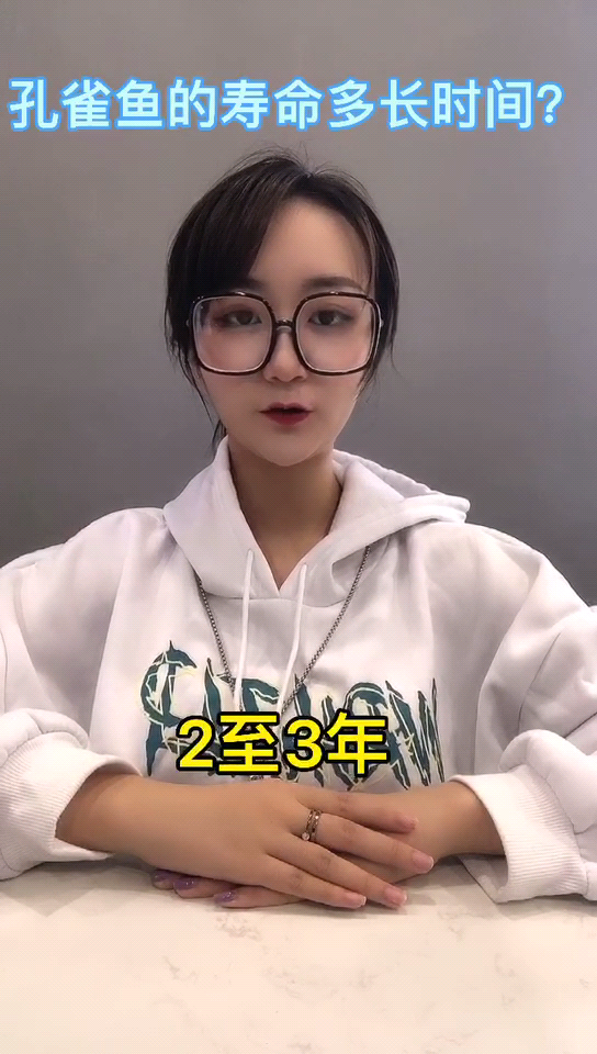 孔雀鱼的寿命是多长时间 
