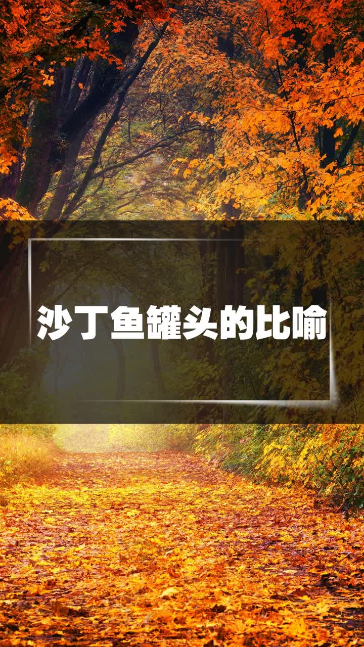 沙丁鱼罐头的比喻