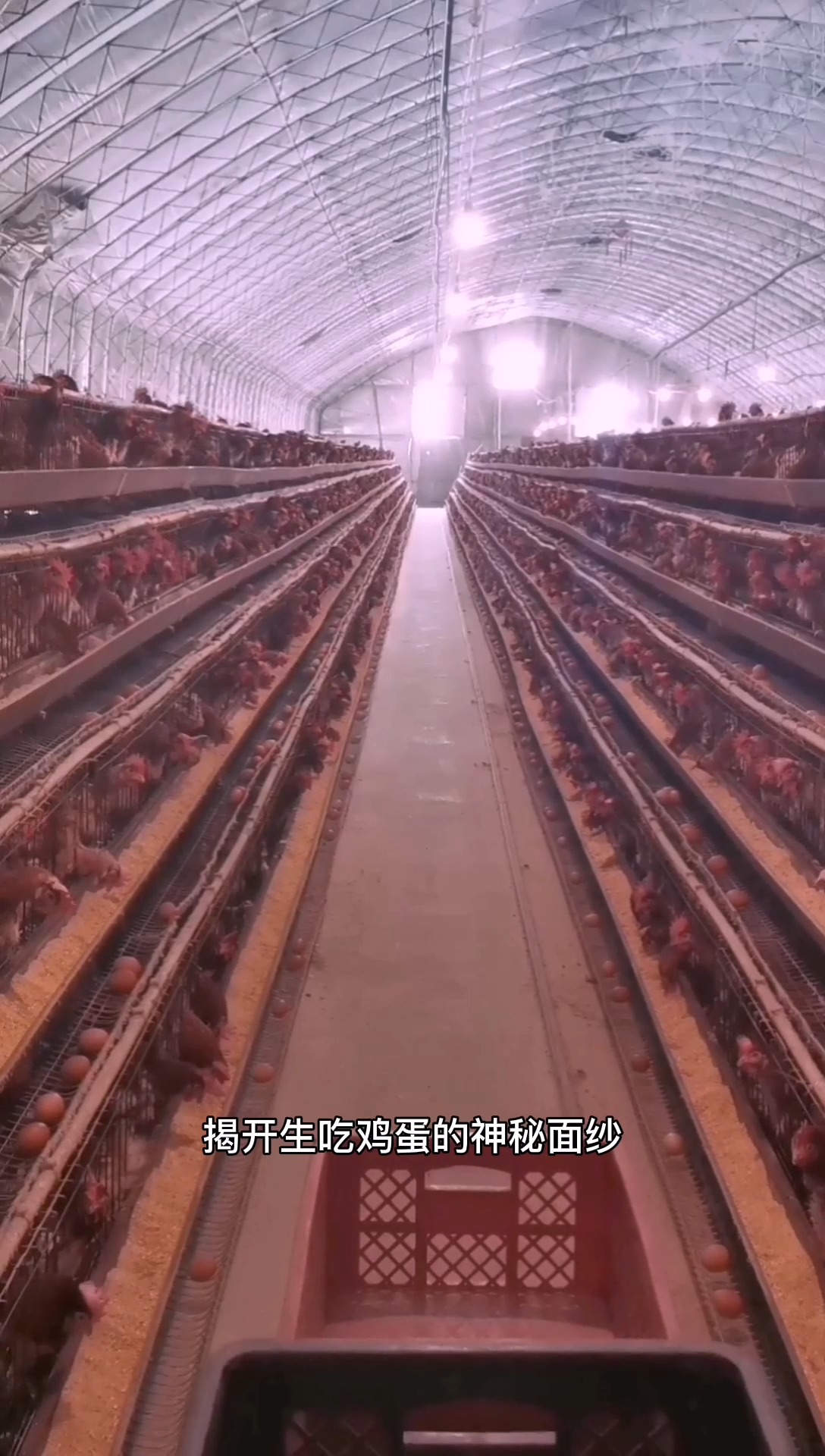 富硒姐姐富硒鸡蛋告诉你,这三个吃鸡蛋的误区,一定要牢记
