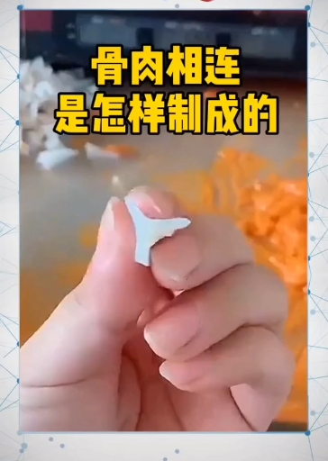 骨肉相连,肉在哪……!