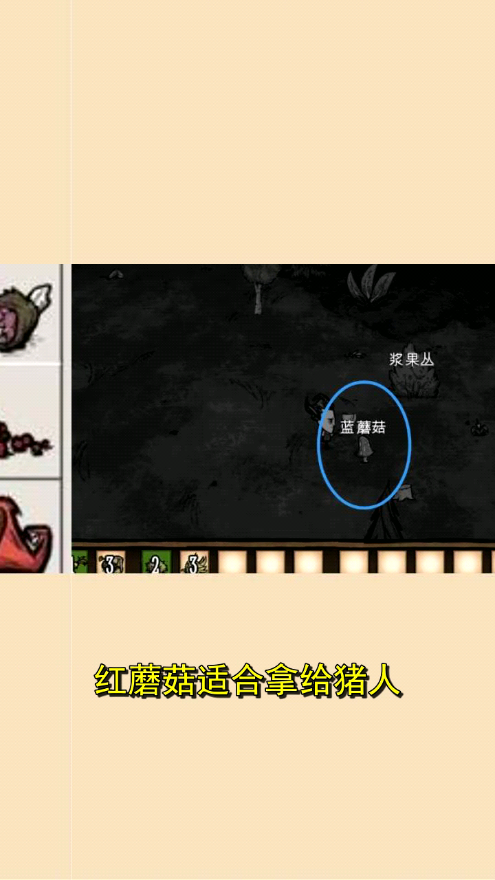 饥荒蘑菇有什么用呢